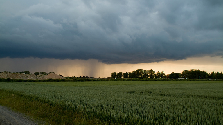 Eine bedrohliche Regenfront zieht über eine Landschaft mit einem großen Getreidefeld. Im Hintergrund sieht man noch einen schmalen Streifen Himmel mit Sonnenlicht.
