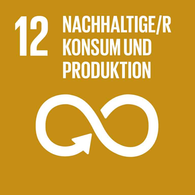 Icon für SDG 12 Verantwortungsvoller Konsum, dargestellt wird eine liegende Acht mit Pfeil auf braunem Hintergrund.