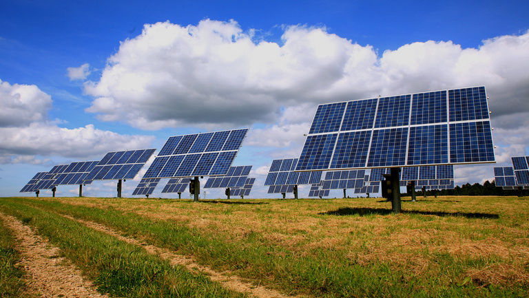 Viele Photovoltaik-Panele stehen auf einer Ackerfläche.