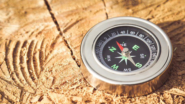 Ein runder Kompass liegt auf einem grob abgesägtem Holzstück.