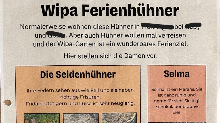 Eine kurze Vorstellung einiger Hühner aus der Urlaubshühnerbande.