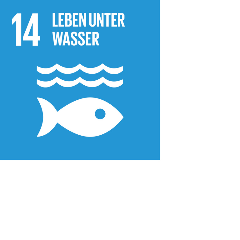 Icon für SDG 14 Leben unter dem Wasser, dargestellt wird ein Fisch unter zwei Wellen auf blauem Hintergrund.
