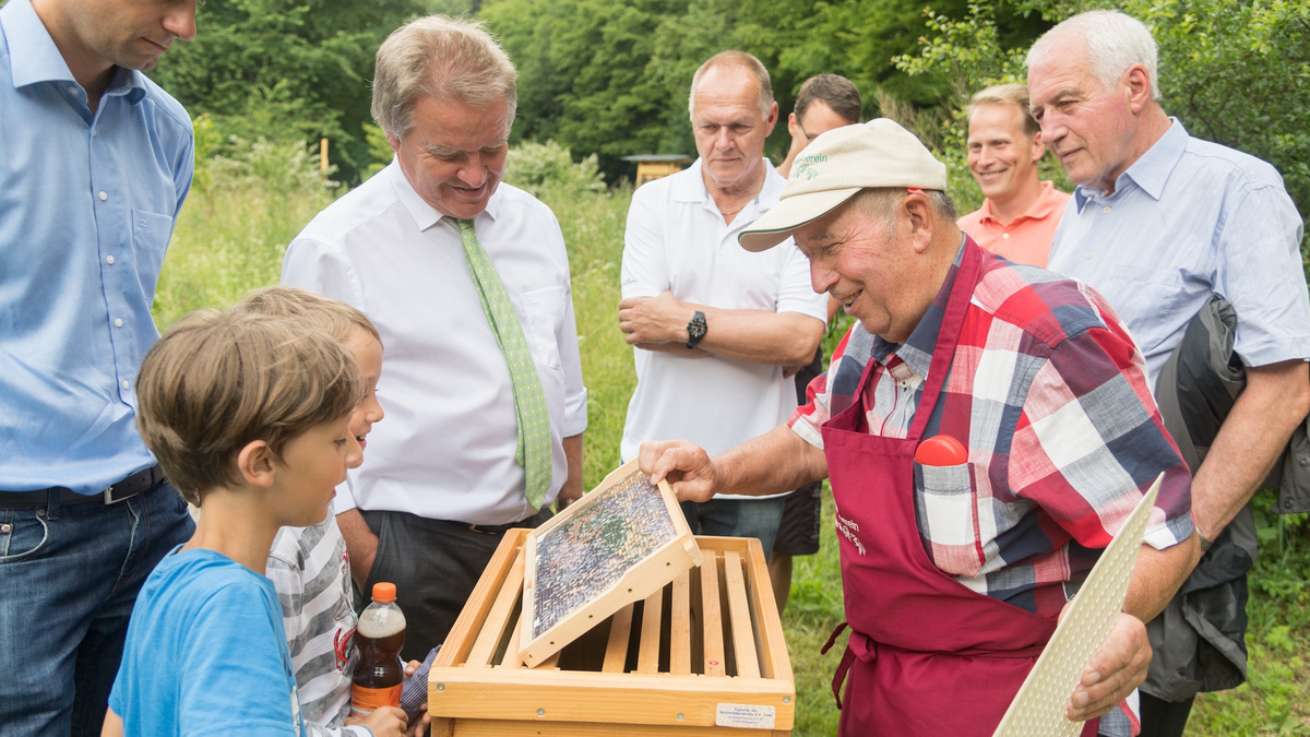 Ein Imker, zwei Kinder und einige Erwachsene schauen sich gemeinsam einen Wabenrahmen aus einer Bienenbeute an.