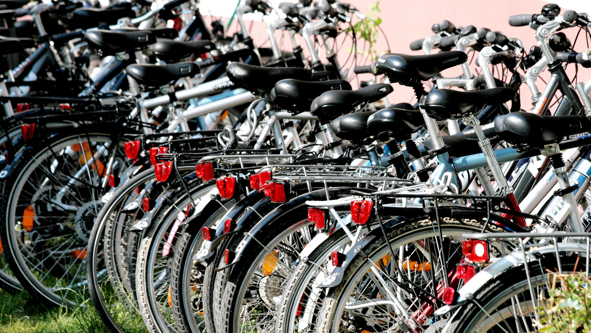 Unterwegs sein mit dem Fahrrad Viele Fahrräder stehen nebeneinander angeordnet auf einer Wiese.