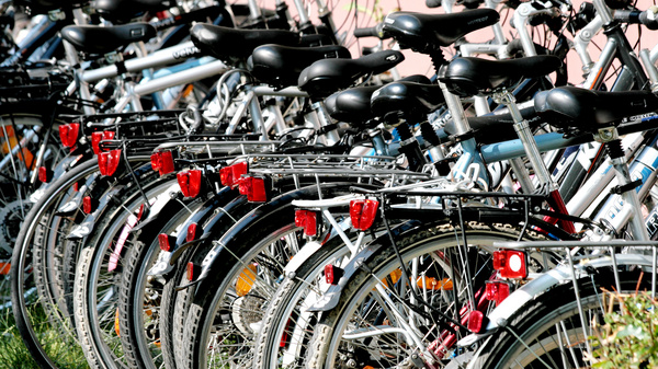 Unterwegs sein mit dem Fahrrad Viele Fahrräder stehen nebeneinander angeordnet auf einer Wiese.