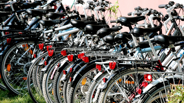 Unterwegs sein mit dem Fahrrad Viele Fahrräder stehen nebeneinander angeordnet auf einer Wiese.