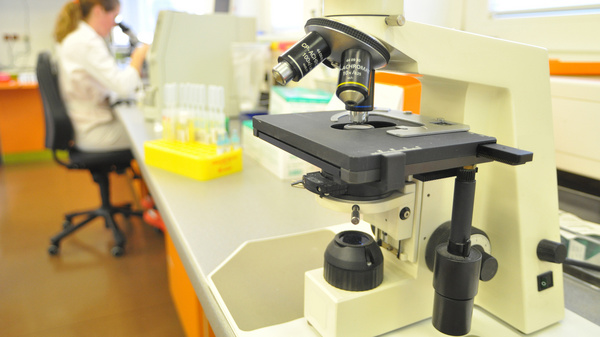 Forschung im Labor Im Vordergrund einer Laborraumes steht ein Mikroskop, im Hintergrund sitzt eine Frau an einem.