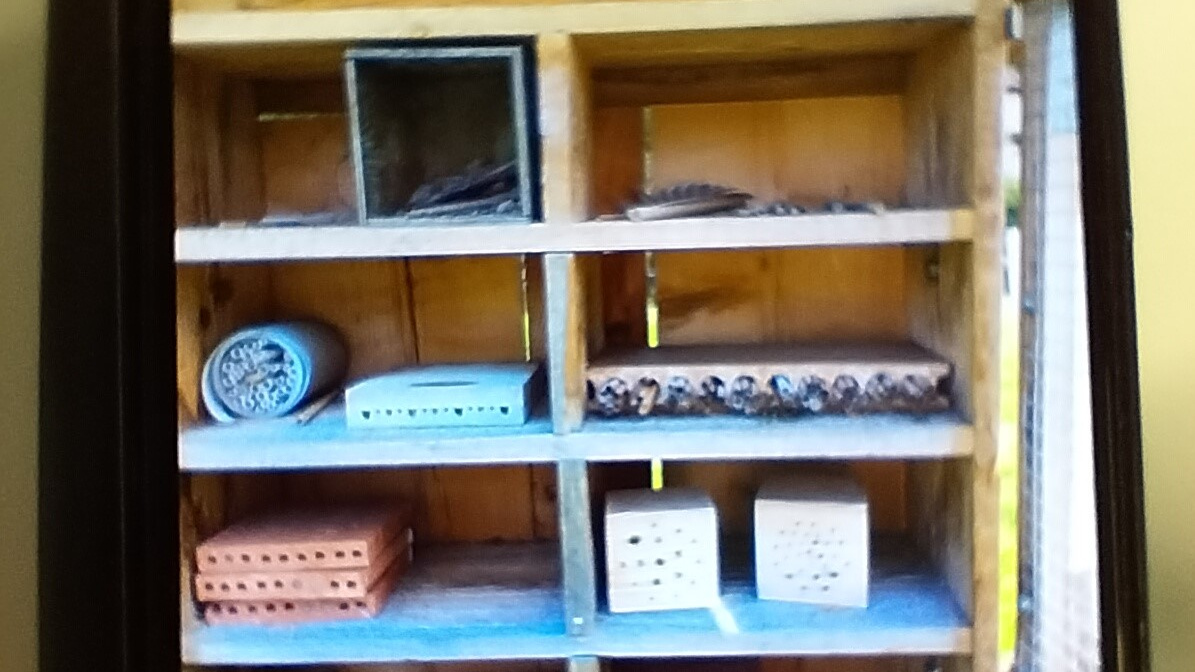 Unser Insektenhaus