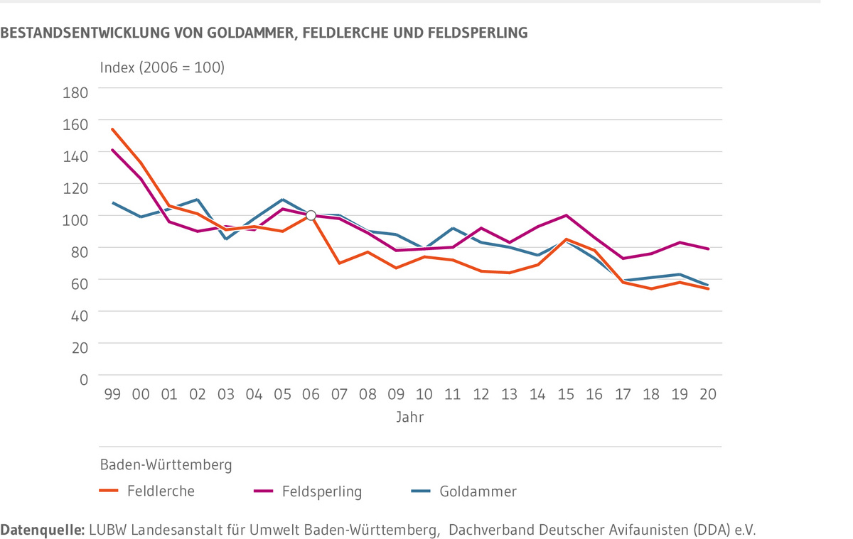 Die Bestandsentwicklung von Goldammer, Feldsperling und Feldlerche ist von 1999 bis 2009 deutlich rückläufig. Dann stagnieren die Bestände bei zum Teil deutlichen jährlichen Schwankungen. Nach einer Erholung der Bestände vor allem von Feldlerche und Feldsperling in den Jahren 2014 und 2015 ist bei allen drei Feldvogelarten erneut ein Rückgang festzustellen. In den letzten vier Jahren zeigen sich nur geringe Schwankungen. 