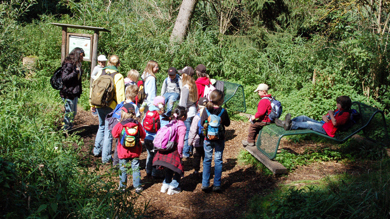Eine Gruppe Kinder erleben mit Ihren Begleitpersonen den schwankenden Moorboden im Wackelwald am Federsee.