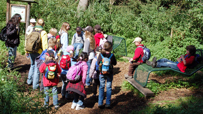 Eine Gruppe Kinder erleben mit Ihren Begleitpersonen den schwankenden Moorboden im Wackelwald am Federsee.