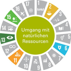 Zuordnung der SDGs zum Handlungsfeld "Umgang mit natürlichen Ressourcen". Die Grafik zeigt das Handlungsfeld „Umgang mit Natürlichen Ressourcen“ als vollflächigen grünen Kreis. Die textliche Benennung des Handlungsfelds ist in weißer Schrift dargestellt. Um den Kreis sind tortenstückartig die Zeichen der 17 Globalen Nachhaltigkeitsziele (Sustainable Development Goals – SDGs) angeordnet. SDGs, die keinen Bezug zu diesem Handlungsfeld haben, sind grau dargestellt. SDGs mit Bezug zum Handlungsfeld sind in der jeweiligen SDG-Farbe abgebildet. Das Handlungsfeld nimmt Bezug zu folgenden SDGs: SDG 2: „Kein Hunger“, SDG 6: „Sauberes Wasser und Sanitäreinrichtungen“, SDG 11: „Nachhaltige Städte und Gemeinden“, SDG 13: „Maßnahmen zum Klimaschutz“ und SDG 15: „Leben an Land“.