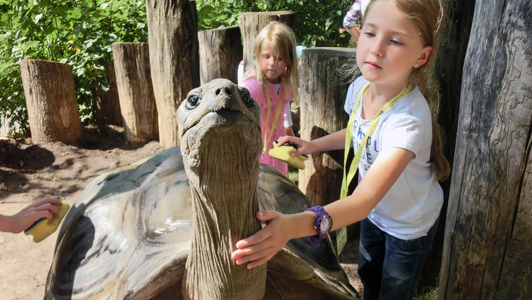 Ein Mädchen streichelt eine Riesenschildkröte.
