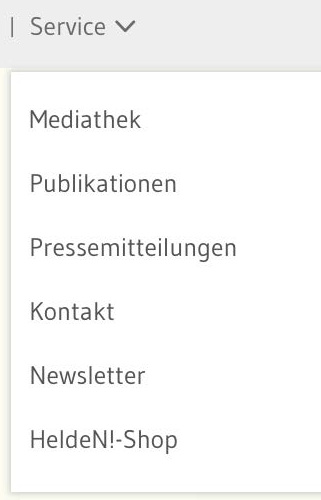 Ein Sreenshot zeigt den Link im Header zu Service mit dem dazugehörigen Aufklappmenü.