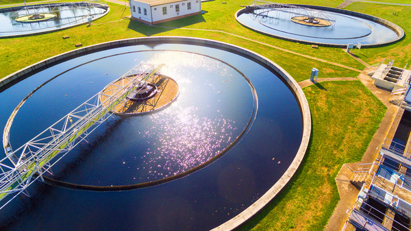 Zu sehen sind vier von oben fotograftierte runde Becken einer Kläranalge, im Hintergrund Bäume.