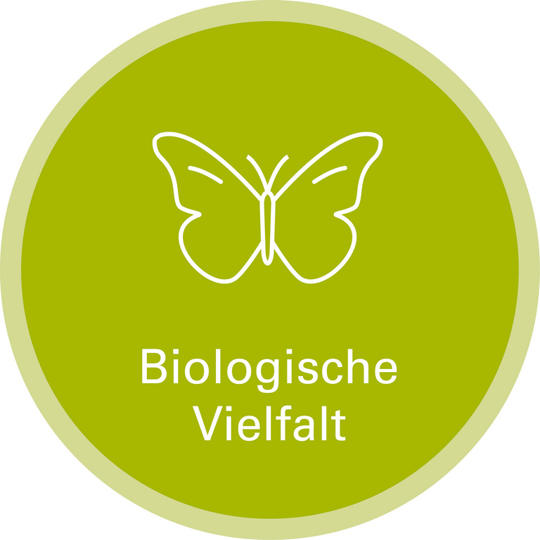 Handlungsfeld Biologische Vielfalt Icon zu Handlungsfeld: Biologische Vielfalt. Die Grafik zeigt die Stichzeichnung eines Schmetterlings.