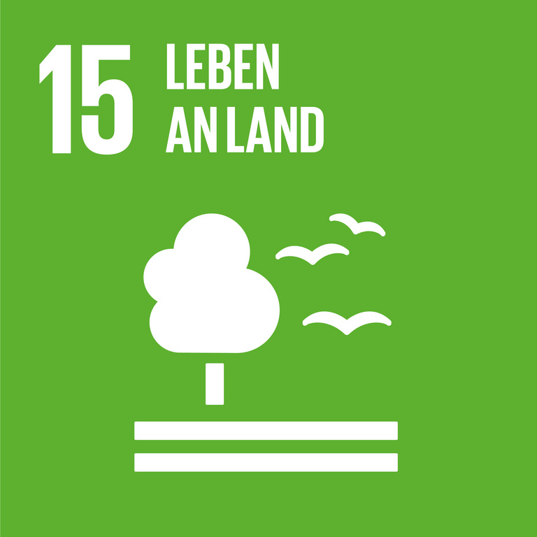 Icon für SDG 15 Leben an Land, dargestellt wird ein Baum und drei Vögel auf zwei liegenden Balken auf grünem Hintergrund.