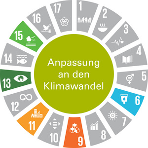 Die Grafik zeigt das Handlungsfeld „Umgang mit Natürlichen Ressourcen“ als vollflächigen grünen Kreis. Die textliche Benennung des Handlungsfelds ist in weißer Schrift dargestellt. Um den Kreis sind tortenstückartig die Zeichen der 17 Globalen Nachhaltigkeitsziele (Sustainable Development Goals – SDGs) angeordnet. SDGs, die keinen Bezug zu diesem Handlungsfeld haben, sind grau dargestellt. SDGs mit Bezug zum Handlungsfeld sind in der jeweiligen SDG-Farbe abgebildet. Das Handlungsfeld nimmt Bezug zu folgenden SDGs: SDG 2: „Kein Hunger“, SDG 6: „Sauberes Wasser und Sanitäreinrichtungen“, SDG 11: „Nachhaltige Städte und Gemeinden“, SDG 13: „Maßnahmen zum Klimaschutz“ und SDG 15: „Leben an Land“.